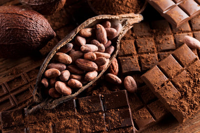 Cacao vs. Coffee: Differences in the Beans