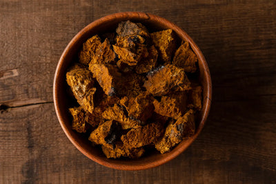 How Much Chaga Per Day? A Dosage Guide 