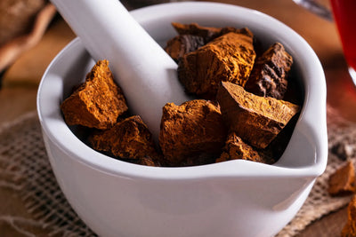 How Much Is Chaga Worth? Why We Love This Ingredient