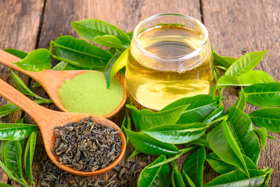 How Much L-Theanine Is in Green Tea?