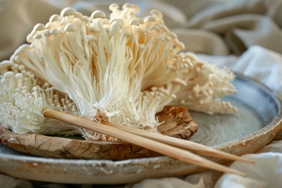 5 Nootropic Mushrooms: Everything You Need To Know