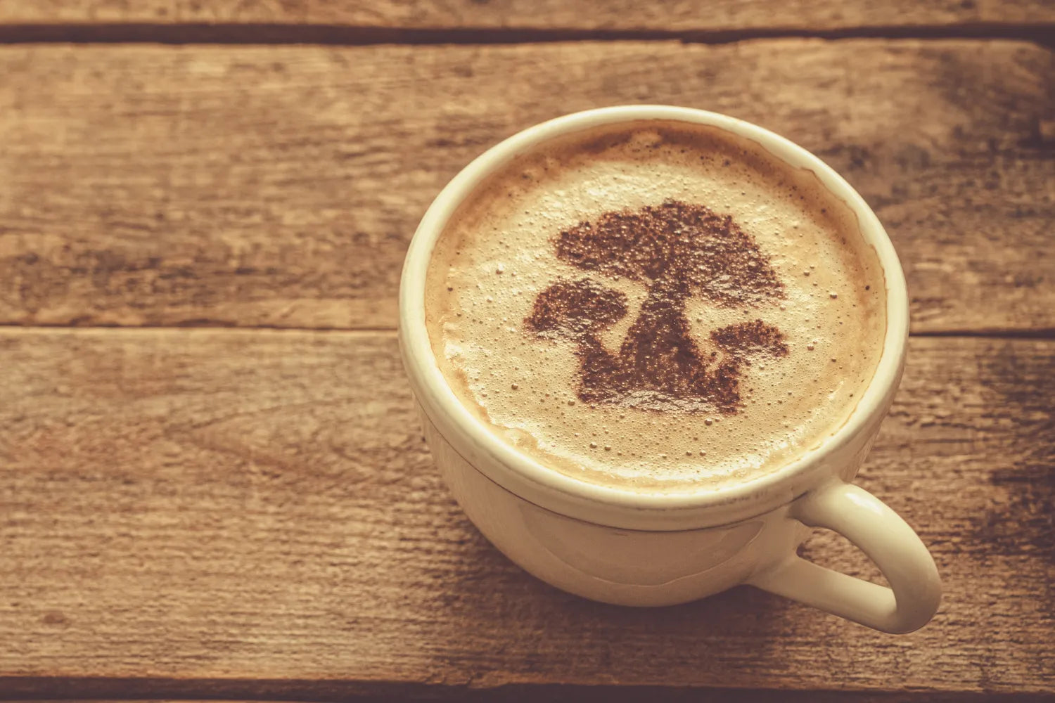 What are the Benefits of Mushroom Coffee?