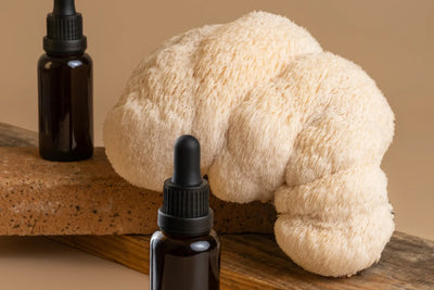 Lion's Mane Benefits and Facts: About the Mushroom Extract